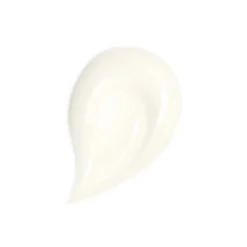 Abeille Royale Honey Treatment Day Cream