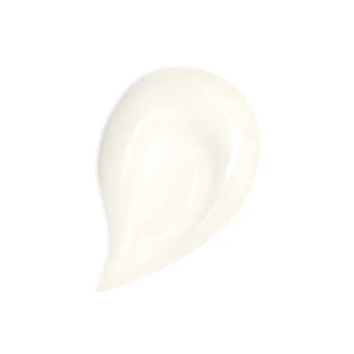 Abeille Royale Honey Treatment Day Cream