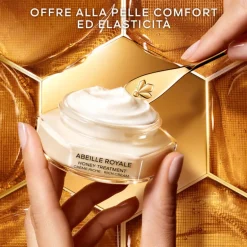 Abeille Royale Honey Treatment Day Cream Rich