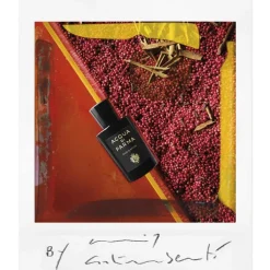 Acqua di Parma Oud & Spice