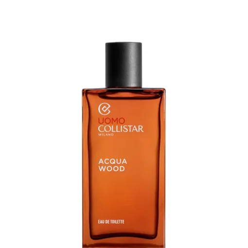 Acqua Wood - Uomo 100 ML