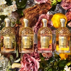 Aqua Allegoria Bosca Vanilla Forte