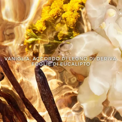 Aqua Allegoria Bosca Vanilla Forte