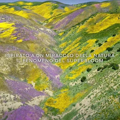 Aqua Allegoria Florabloom