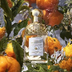 Aqua Allegoria Mandarine Basilic