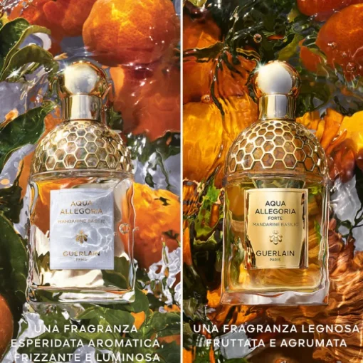 Aqua Allegoria Mandarine Basilic Forte