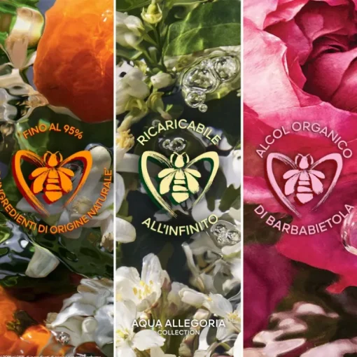 Aqua Allegoria Mandarine Basilic Forte
