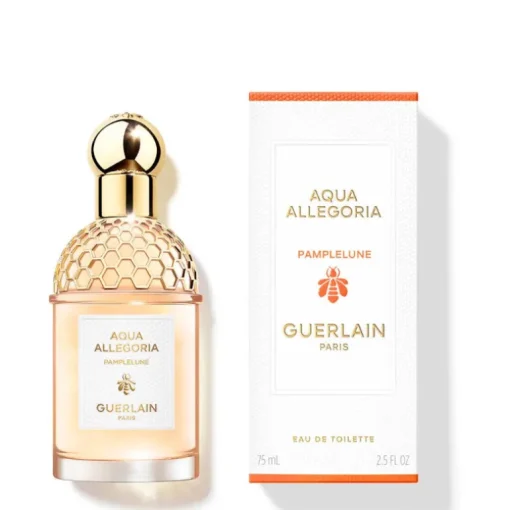 Aqua Allegoria Pamplelune