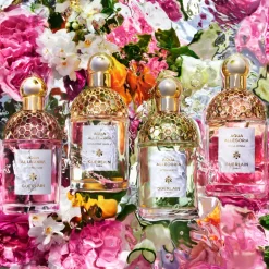 Aqua Allegoria Rosa Verde