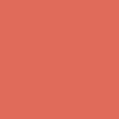 AT FIRST BLUSH Blush compatto