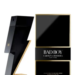 Bad Boy