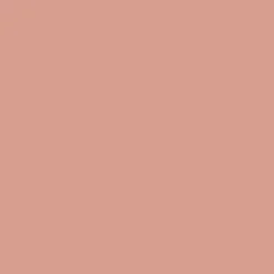 Blushing Blush Powder - Blush in Polvere
