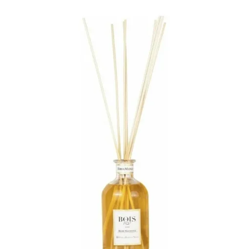 Bois 1920 HOME FRAGRANCES - ErbaMango