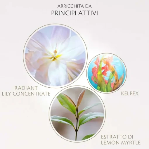 Clé de Peau Beauté The Serum