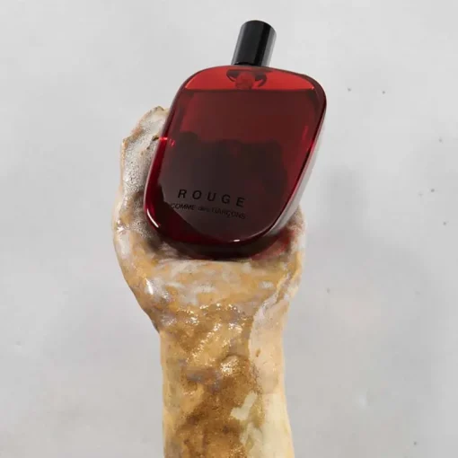 Comme des Garçons Rouge