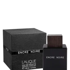 Encre Noire 100 ML