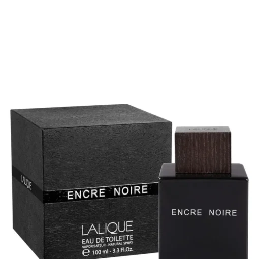 Encre Noire 100 ML