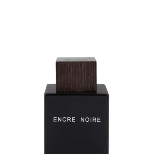 Encre Noire 100 ML