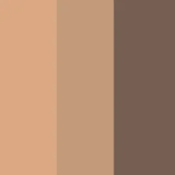 Essential Eye Shadow Trios