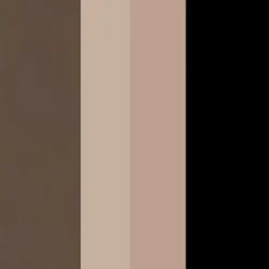Eyebrow Professional Kit