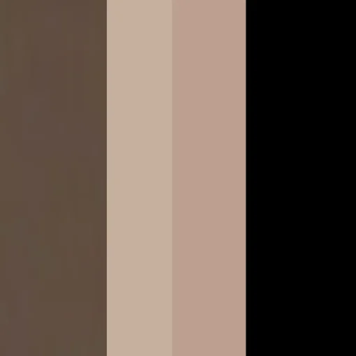 Eyebrow Professional Kit