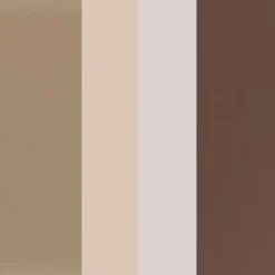 Eyebrow Professional Kit