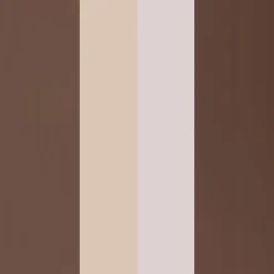 Eyebrow Professional Kit