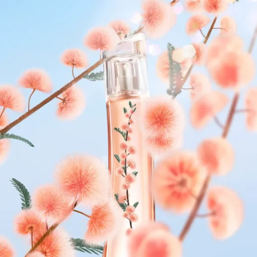 Flower by Kenzo Ikebana Mimosa