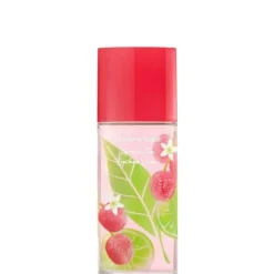 Green Tea Lychee Lime 100 ML