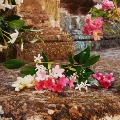 Gucci Bloom EDT