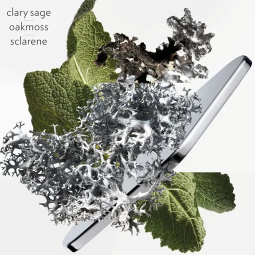 H24 Eau de Parfum