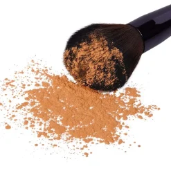 Hyaluronic Hydra Powder Tinted