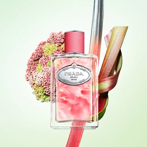 Infusion Rhubarbe