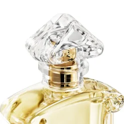 Insolence Cofanetto Edp