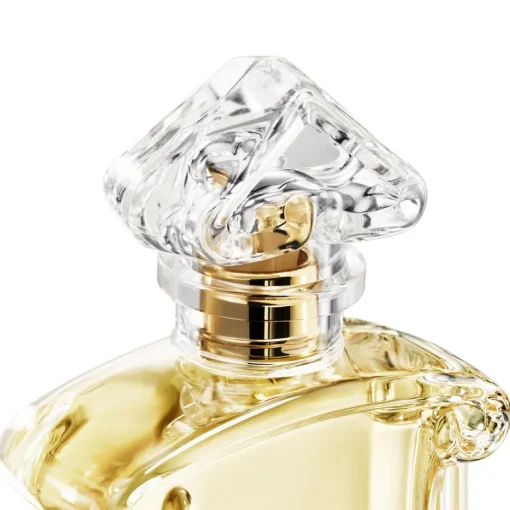 Insolence Cofanetto Edp