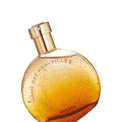 L'Ambre des Merveilles