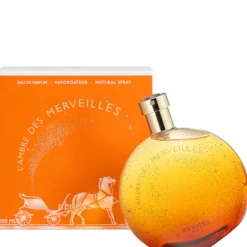 L'Ambre des Merveilles