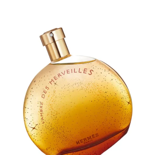 L'Ambre des Merveilles