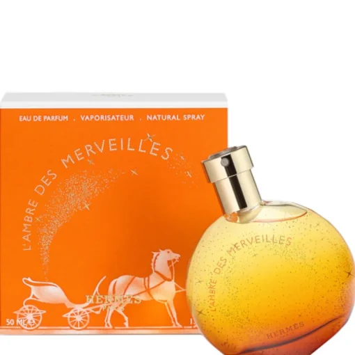L'Ambre des Merveilles