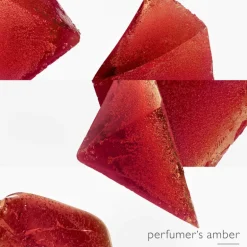 L'Ambre des Merveilles