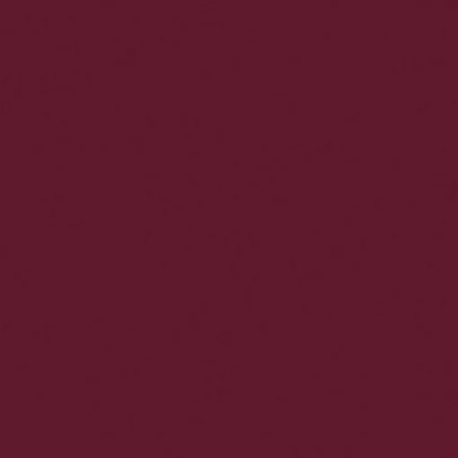 Lasting Embrace Lip Colour - Rossetto Liquido a lunga tenuta