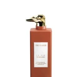 Le Vie di Milano - Passeggiata in Galleria Vittorio Emanuele II 100 ML