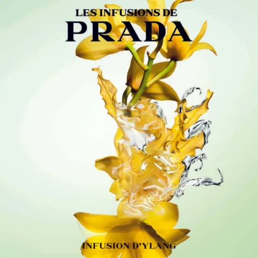 Les Infusions - Infusion D'Ylang 100 ML
