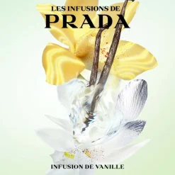 Les Infusions - Infusion de Vanille 100 ML