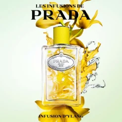 Les Infusions - Infusion D'Ylang 100 ML