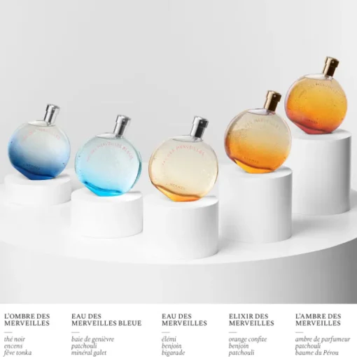 L'Ombre des Merveilles