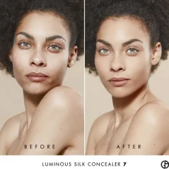 Luminous Silk Concealer