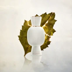 Magnifying Patchouli 40 ML