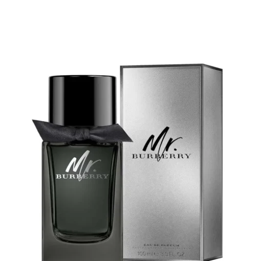 Mr Burberry EDP