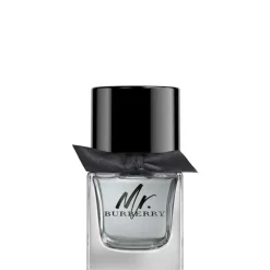 Mr Burberry EDT